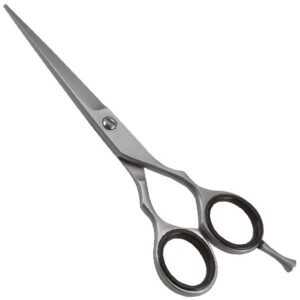 Professional Barber Shears