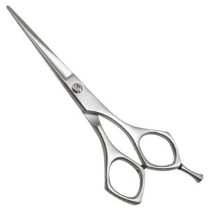 Professional Barber Shears